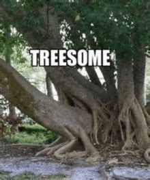 Treesome GIFs